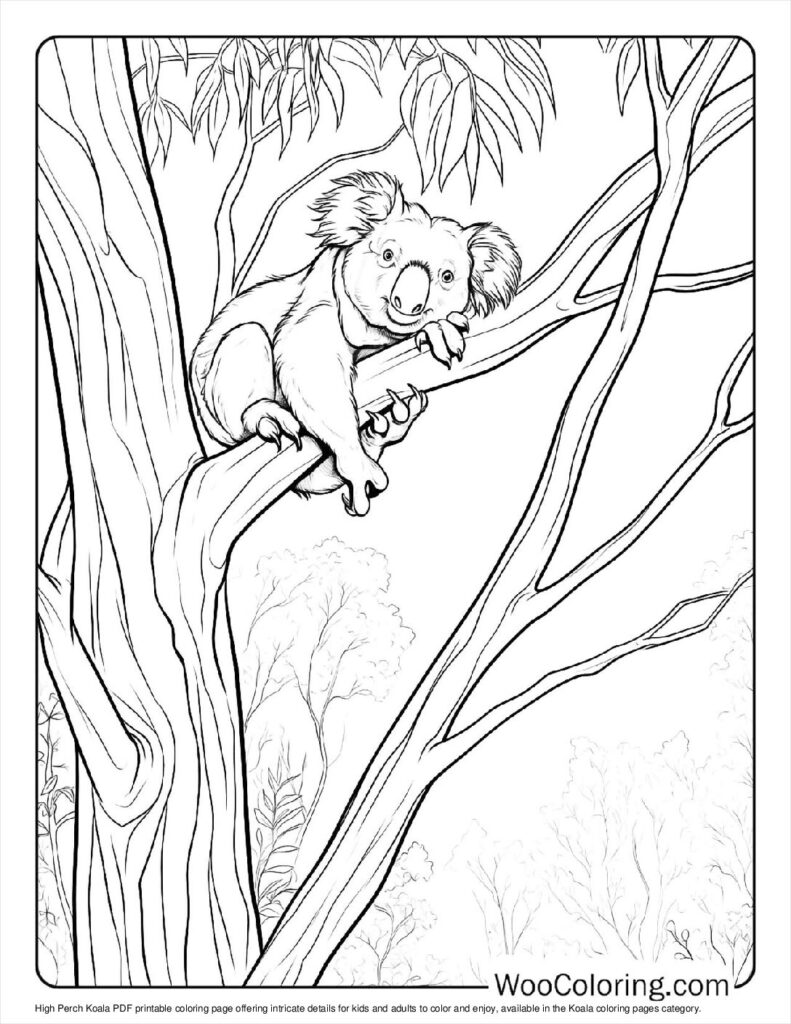100  Koala coloring pages  Free PDF To Print  - 77