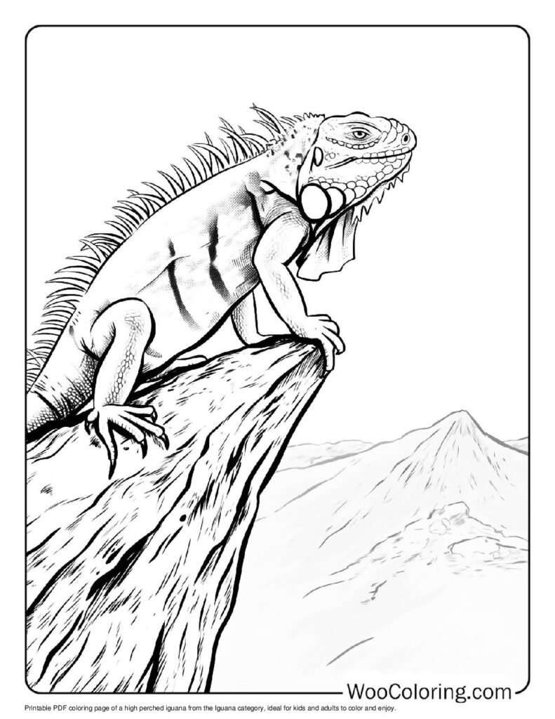 100 Iguana coloring pages Free PDF To Print - 62