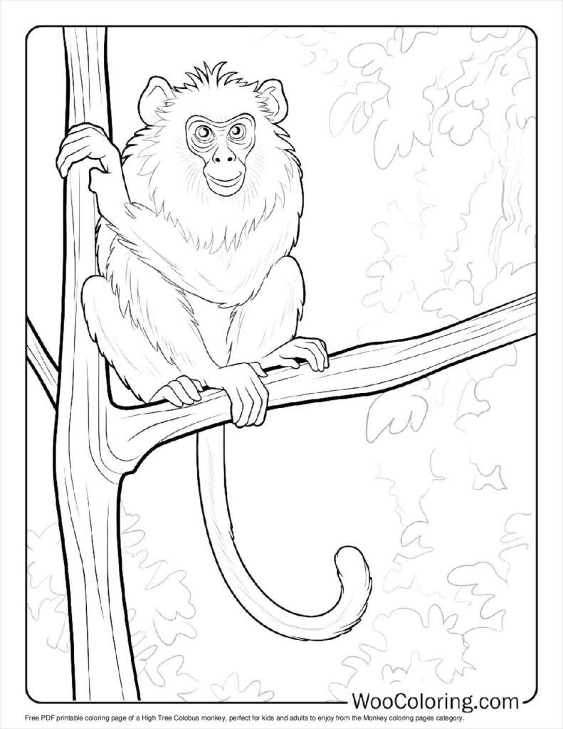 100  Monkey coloring pages  Free PDF To Print  - 62