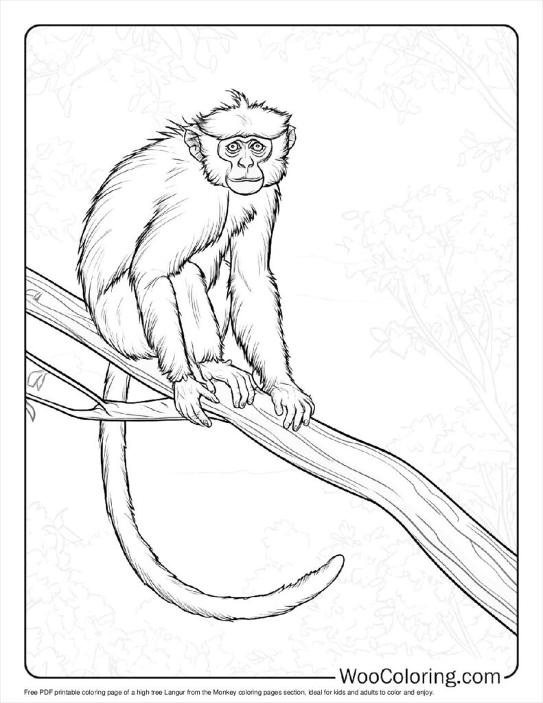 100  Monkey coloring pages  Free PDF To Print  - 46