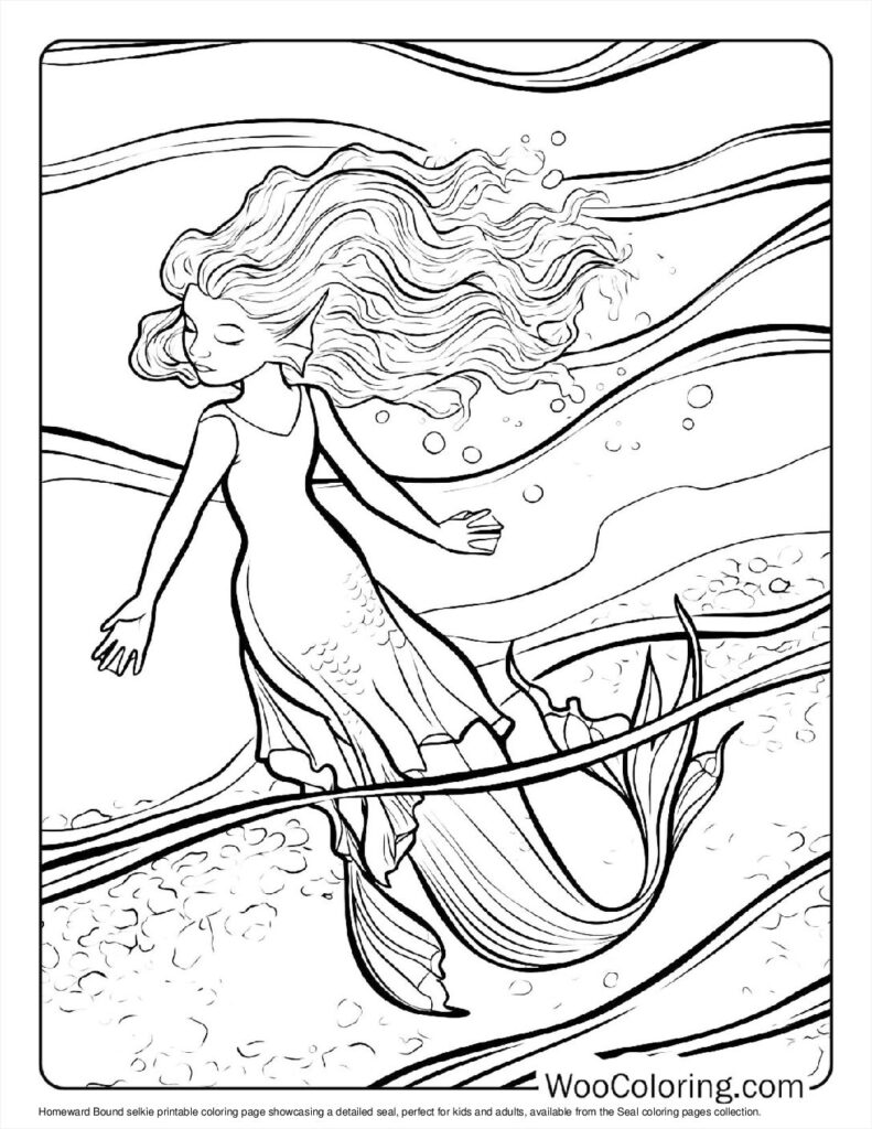 100  Seal coloring pages  Free PDF To Print  - 69