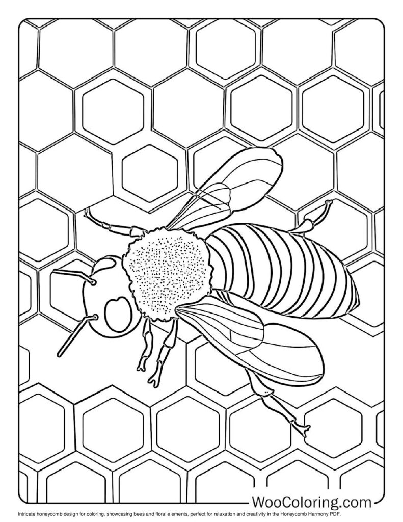 Honeycomb Harmony