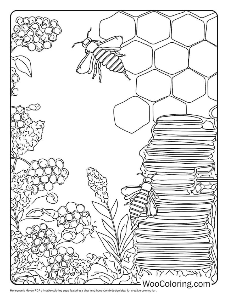 Honeycomb Haven