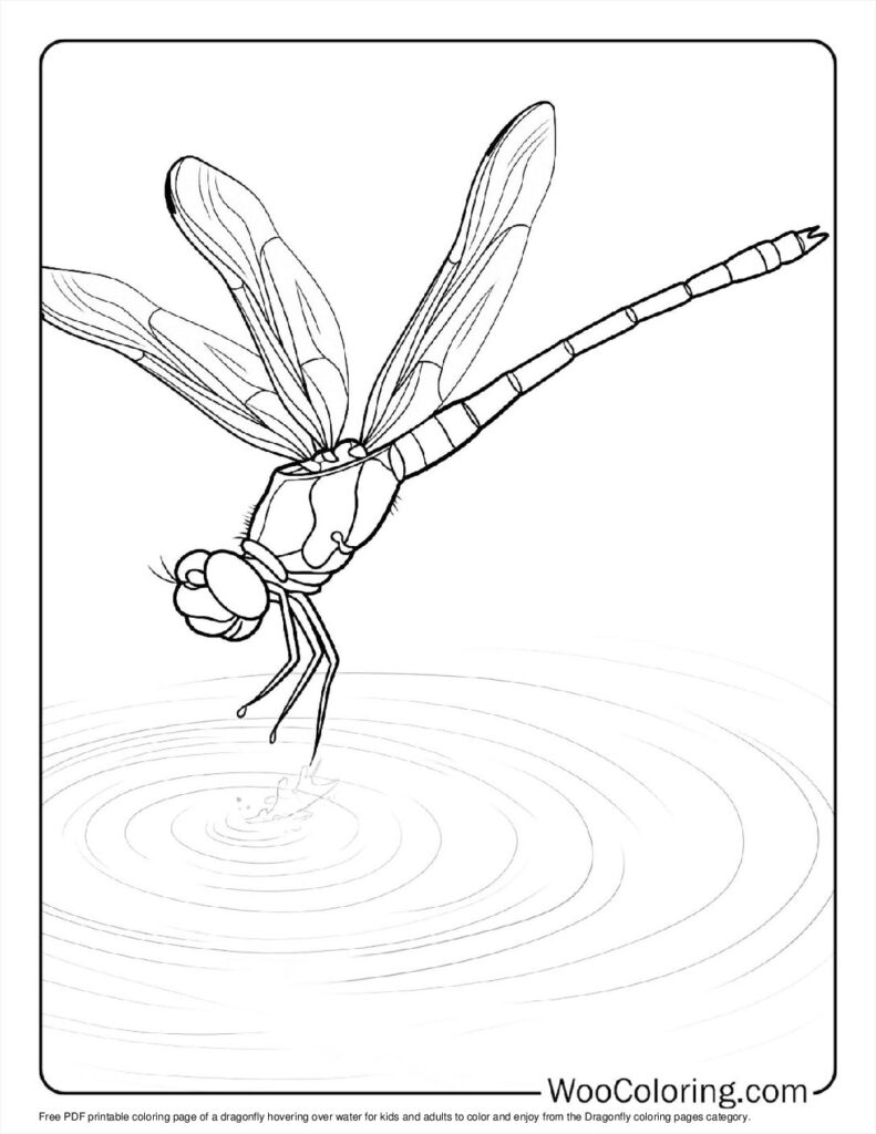 100  Dragonfly coloring pages  Free PDF To Print  - 89