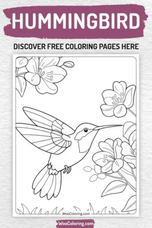 Hummingbird coloring pages designs for kids