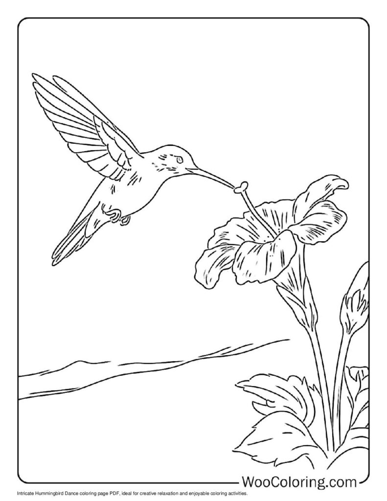 100 Hummingbird coloring pages Free PDF To Print - 33