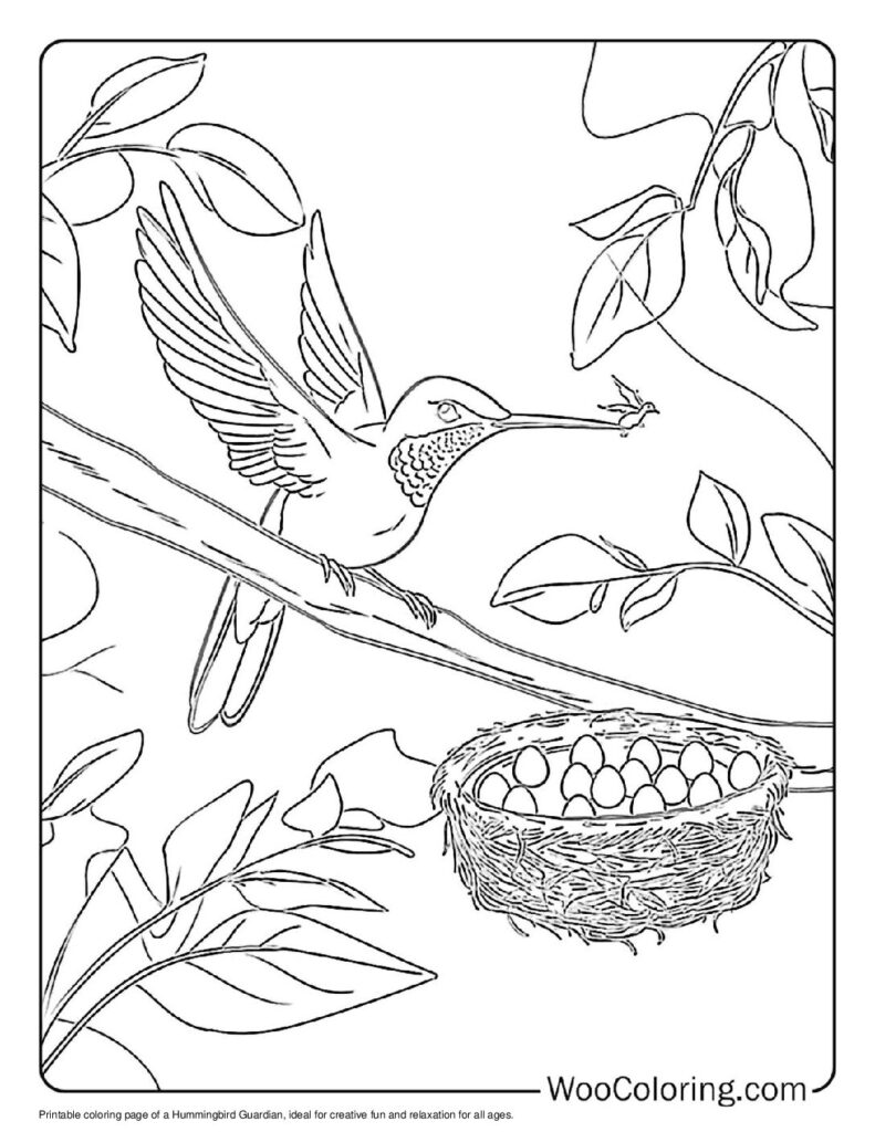 100 Hummingbird coloring pages Free PDF To Print - 28