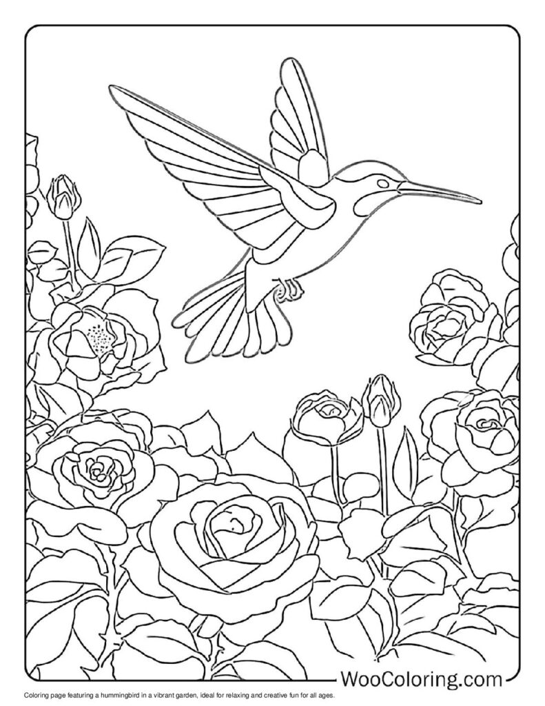 100 Hummingbird coloring pages Free PDF To Print - 54