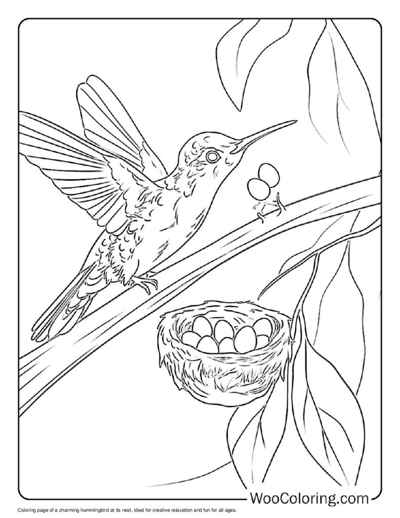 100 Hummingbird coloring pages Free PDF To Print - 53