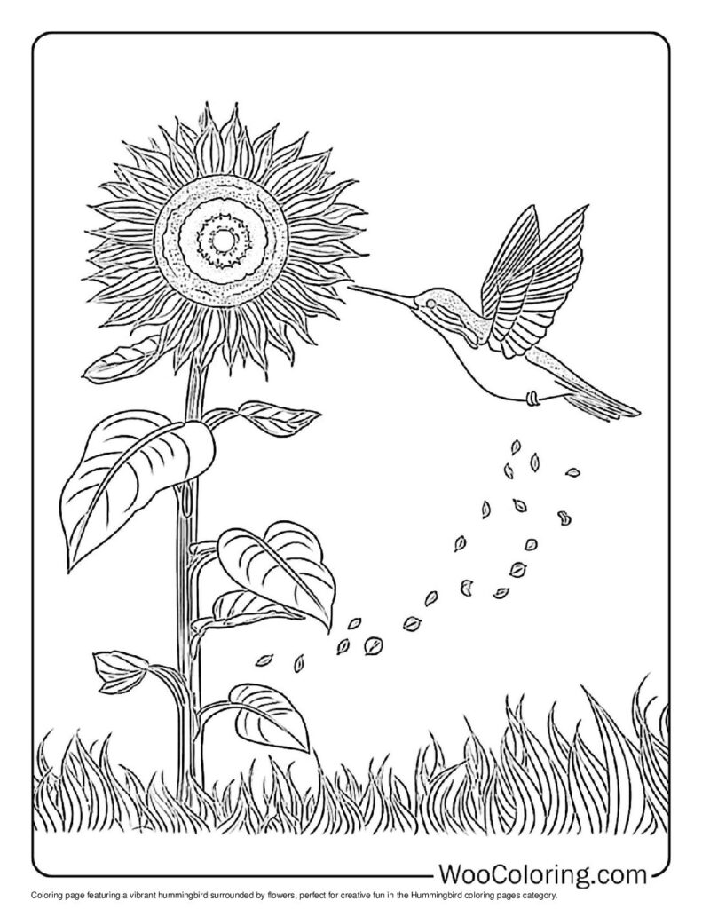 100 Hummingbird coloring pages Free PDF To Print - 57