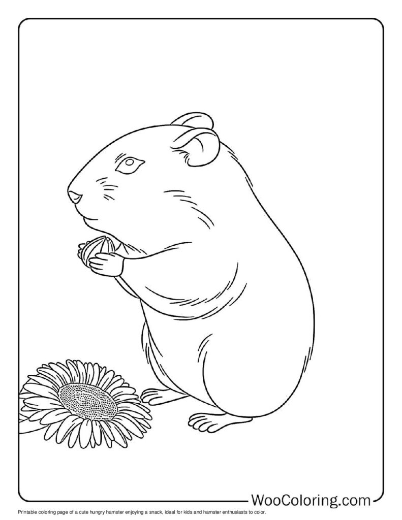 100  Hamster coloring pages  Free PDF To Print  - 98