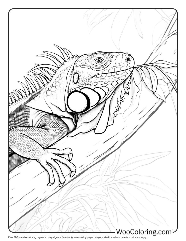 100 Iguana coloring pages Free PDF To Print - 59