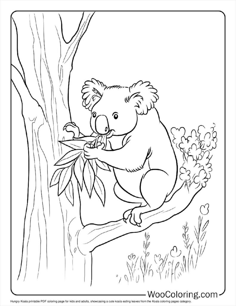 100  Koala coloring pages  Free PDF To Print  - 57