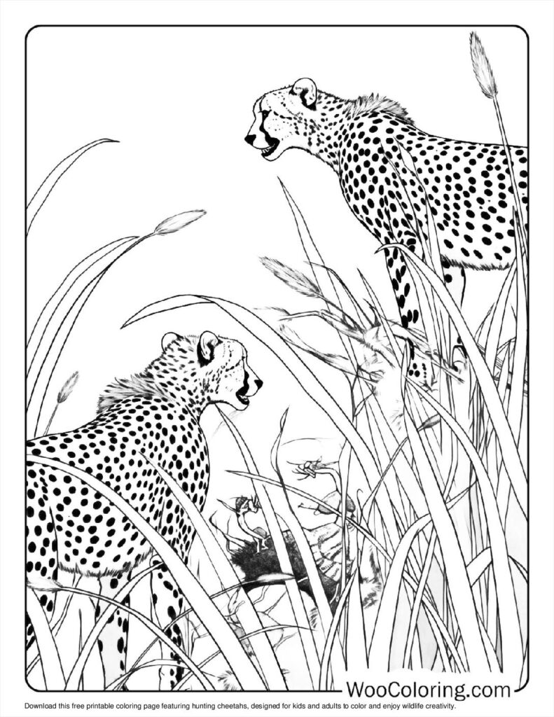 100  Cheetah coloring pages  Free PDF To Print  - 46