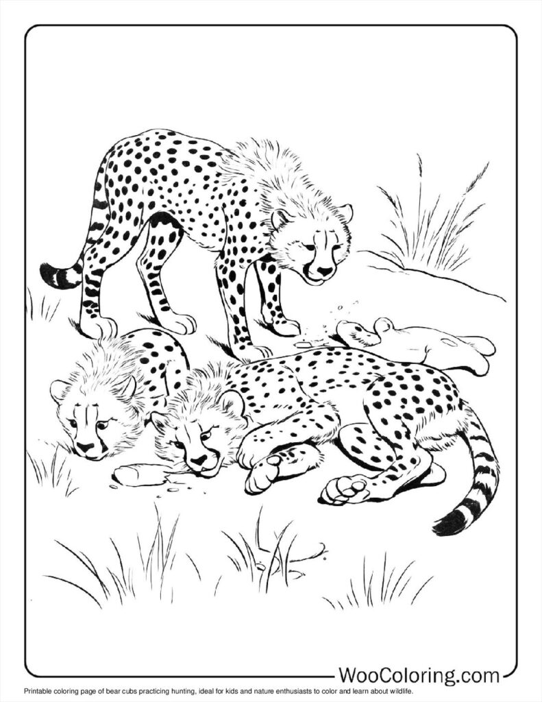 100  Cheetah coloring pages  Free PDF To Print  - 58
