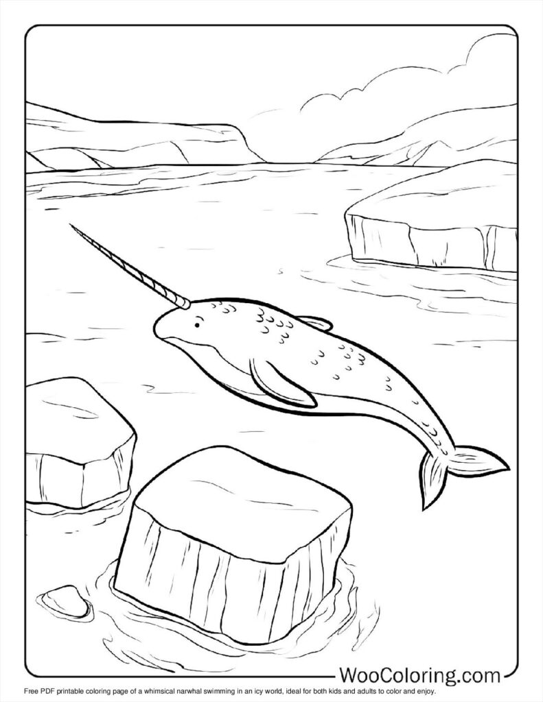 100  Narwhal coloring pages  Free PDF To Print  - 7