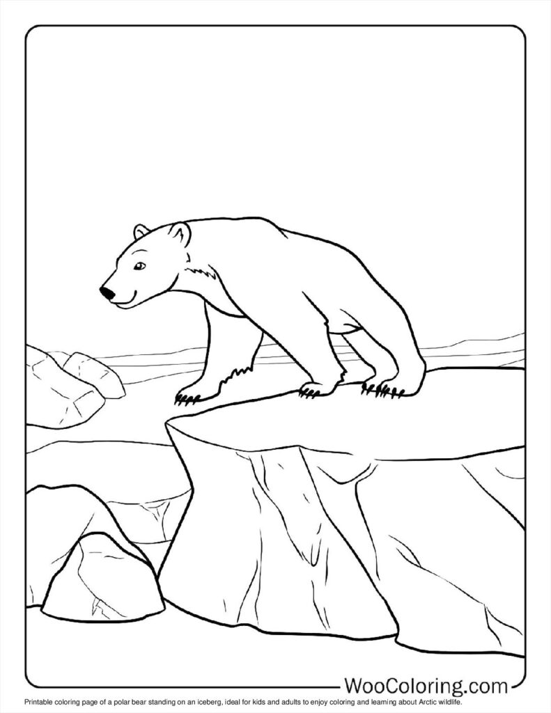 100  Polar Bear coloring pages  Free PDF To Print  - 41
