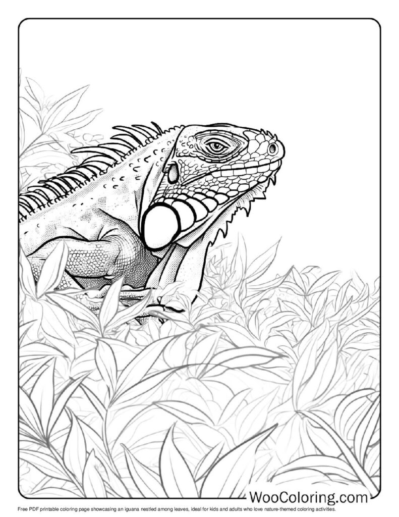 100 Iguana coloring pages Free PDF To Print - 14
