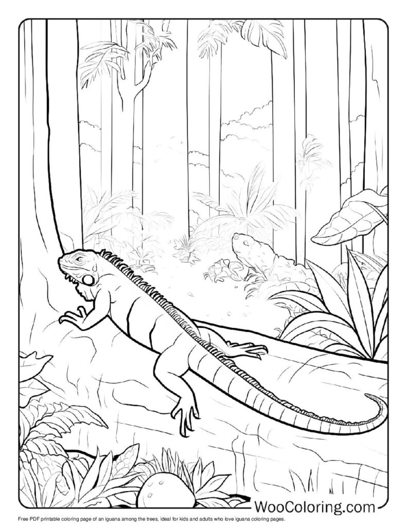 100 Iguana coloring pages Free PDF To Print - 2