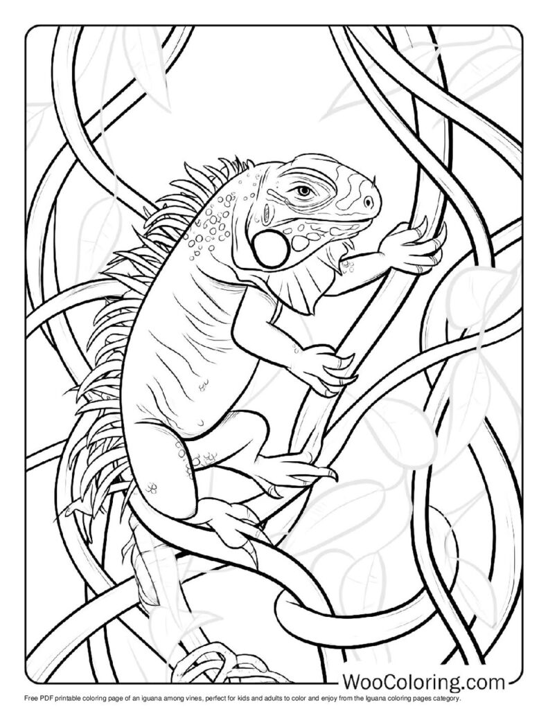 100 Iguana coloring pages Free PDF To Print - 82