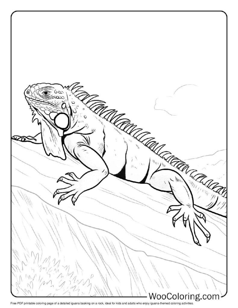 100 Iguana coloring pages Free PDF To Print - 57