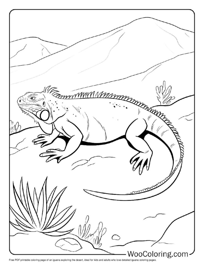 100 Iguana coloring pages Free PDF To Print - 54