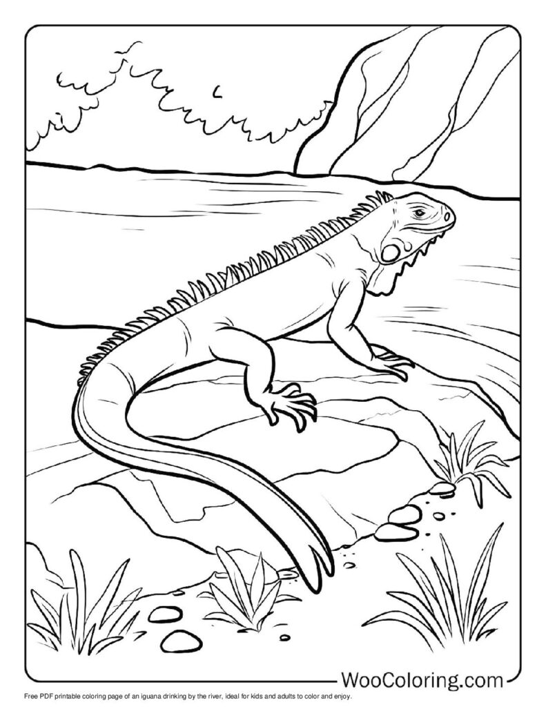 100 Iguana coloring pages Free PDF To Print - 93