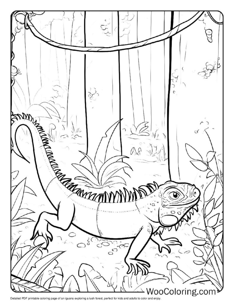 100 Iguana coloring pages Free PDF To Print - 54