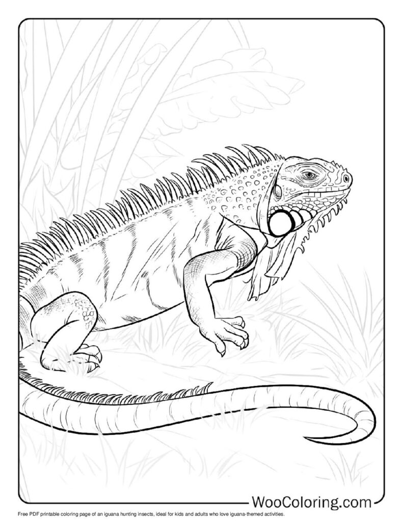 100 Iguana coloring pages Free PDF To Print - 11