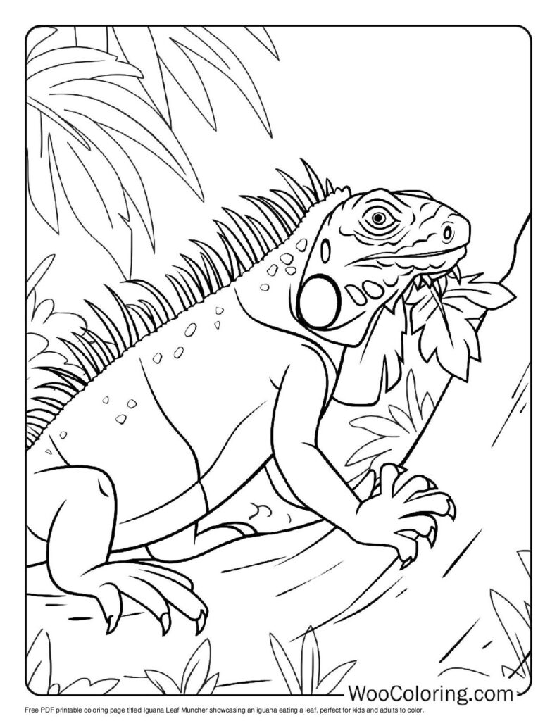 100 Iguana coloring pages Free PDF To Print - 15