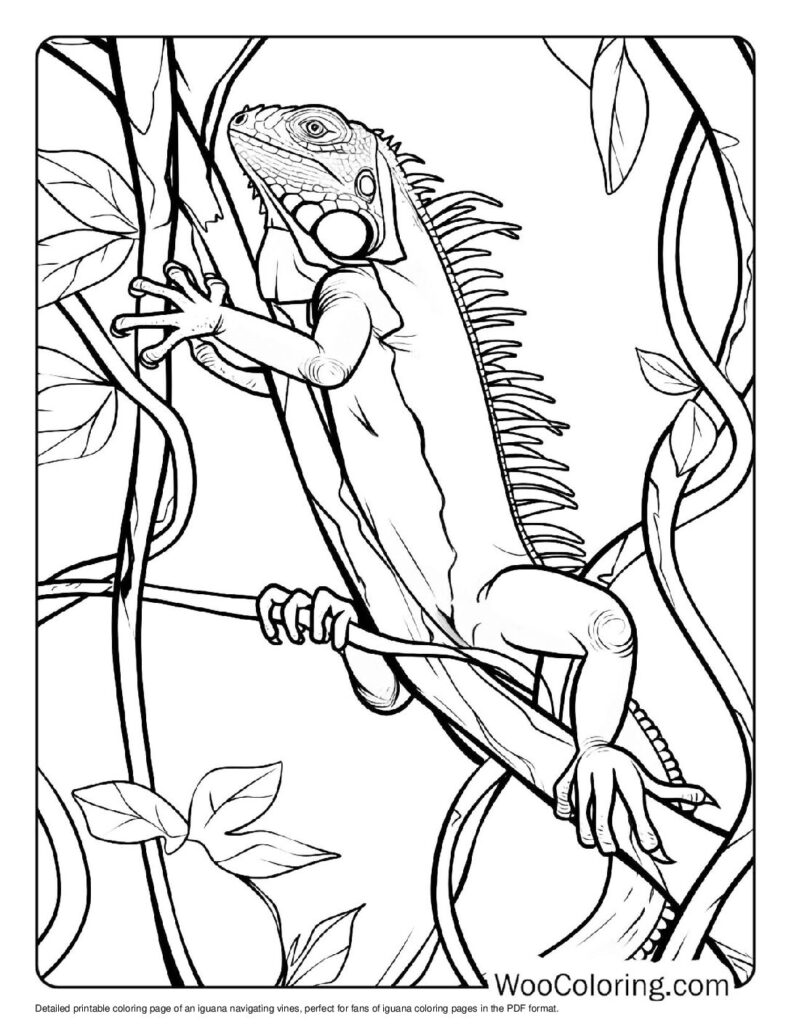 100 Iguana coloring pages Free PDF To Print - 91