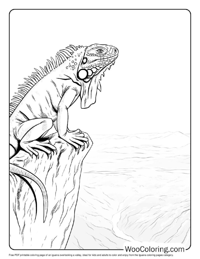 100 Iguana coloring pages Free PDF To Print - 25