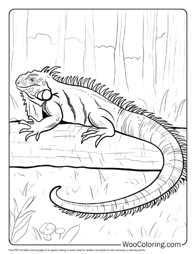 100 Iguana coloring pages Free PDF To Print - 30