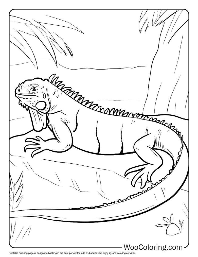 100 Iguana coloring pages Free PDF To Print - 61