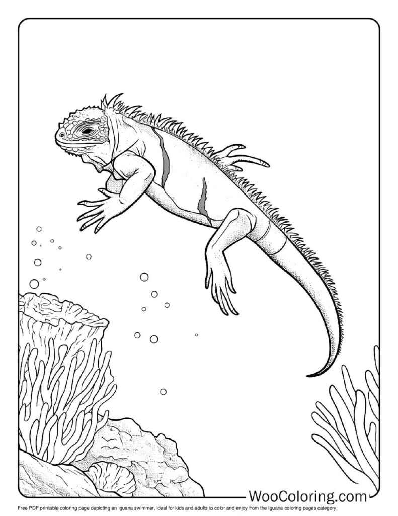 100 Iguana coloring pages Free PDF To Print - 57