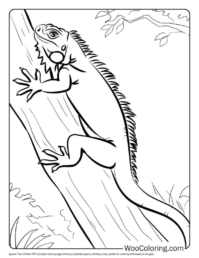 100 Iguana coloring pages Free PDF To Print - 50