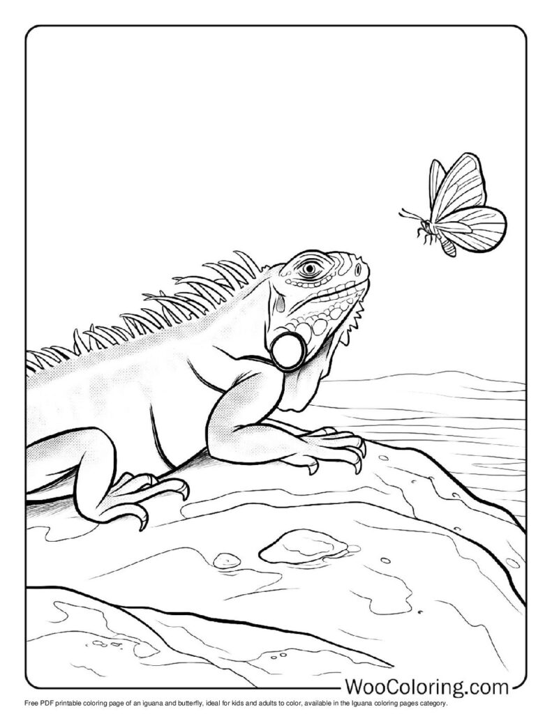 100 Iguana coloring pages Free PDF To Print - 61