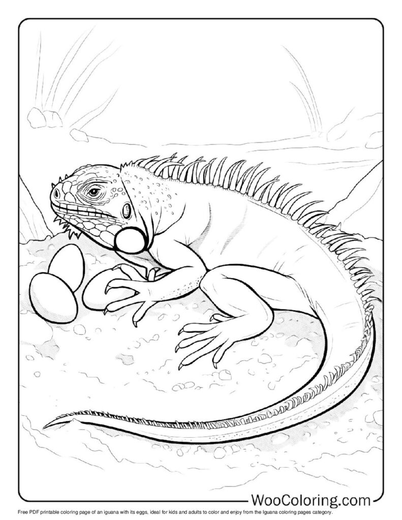 100 Iguana coloring pages Free PDF To Print - 60