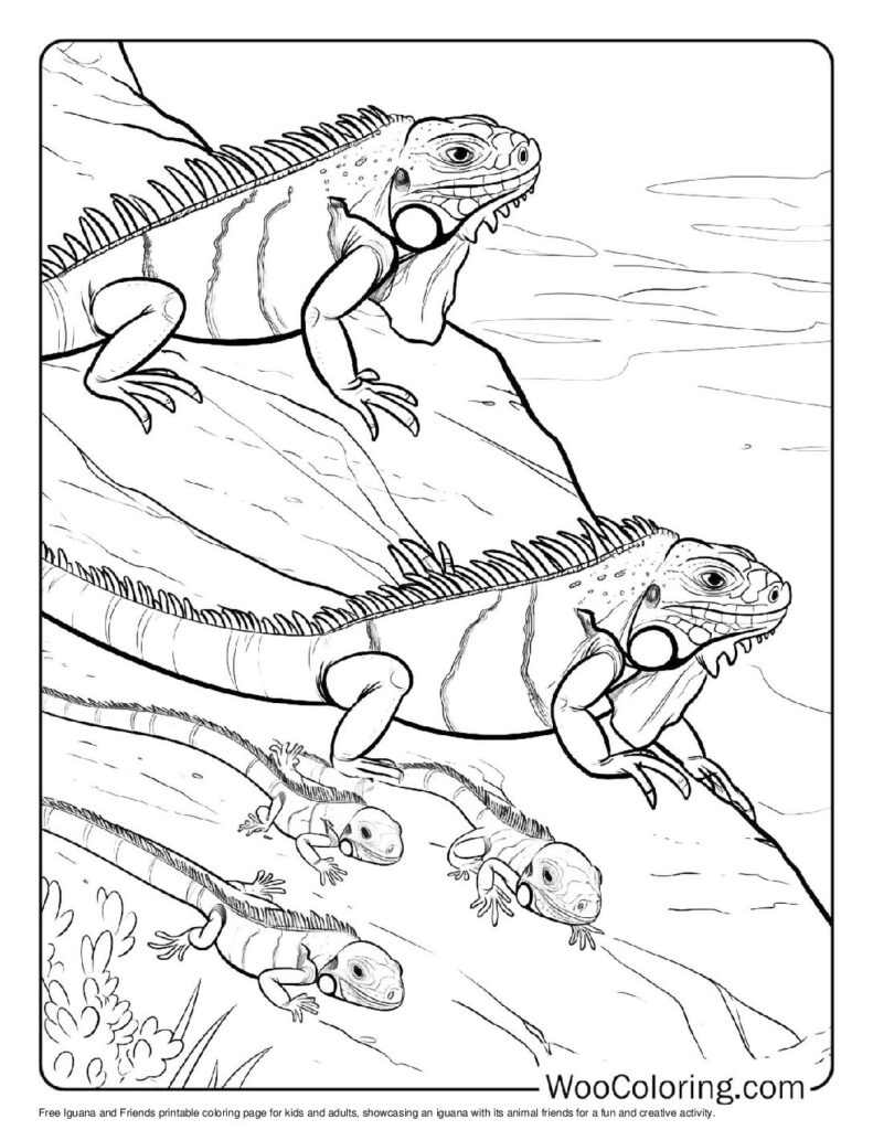 100 Iguana coloring pages Free PDF To Print - 98