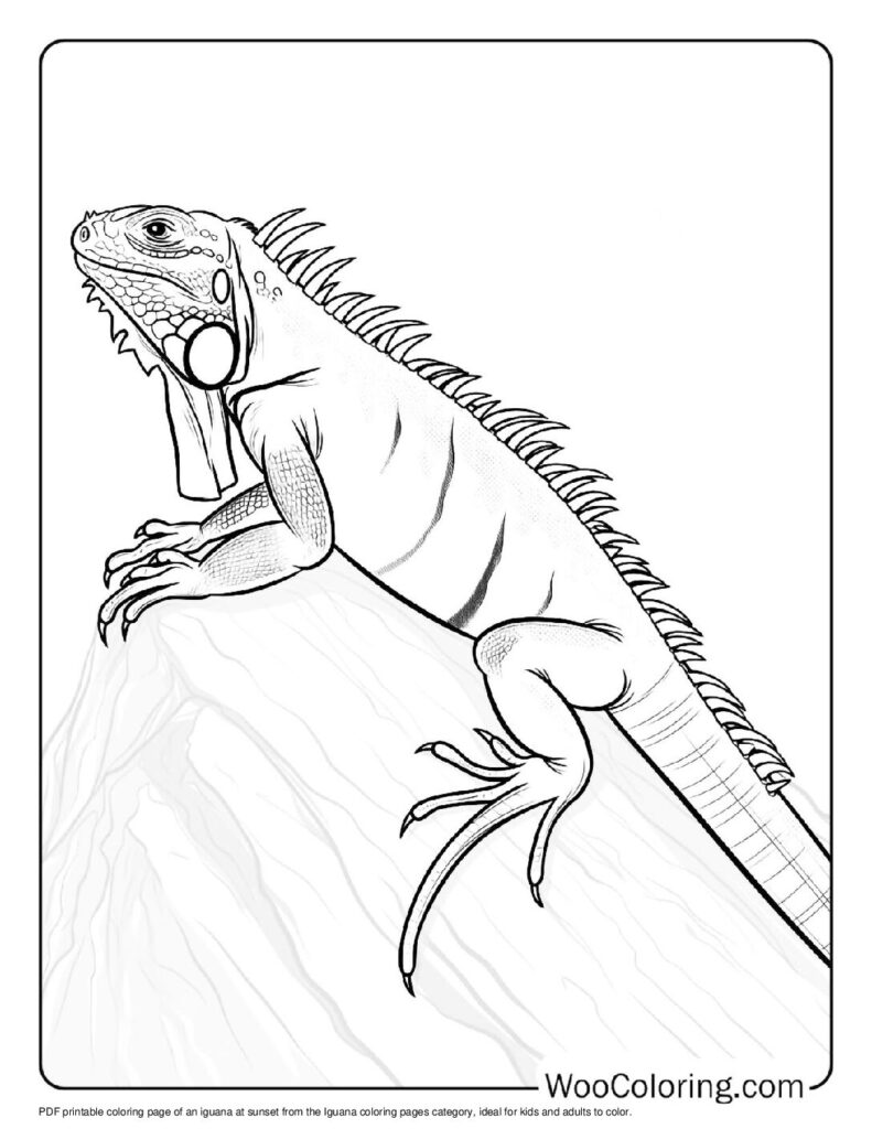100 Iguana coloring pages Free PDF To Print - 22