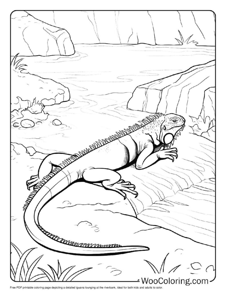 100 Iguana coloring pages Free PDF To Print - 28