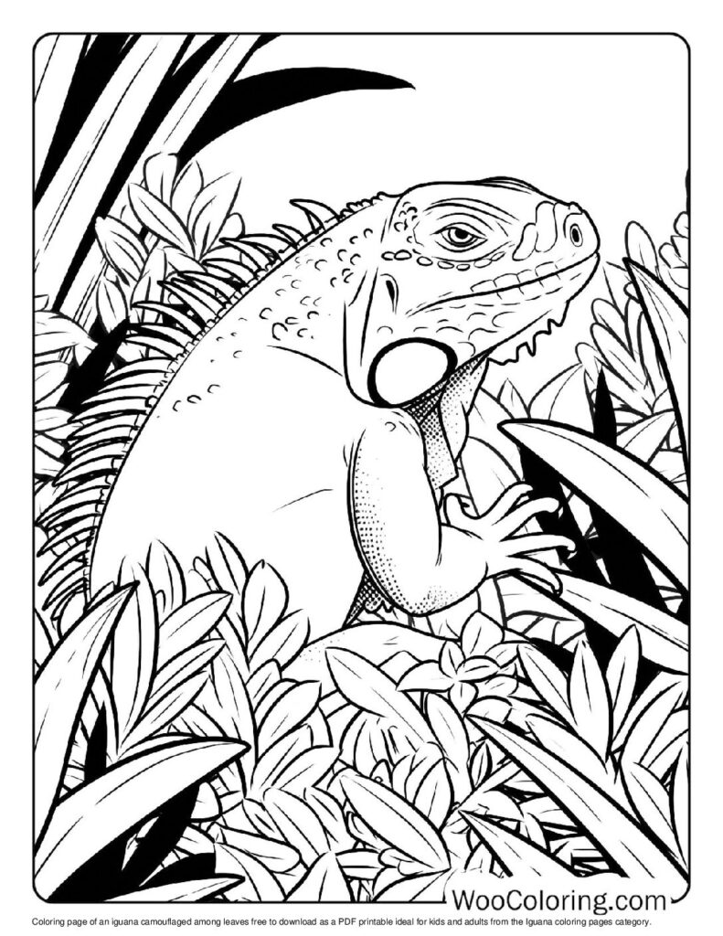 100 Iguana coloring pages Free PDF To Print - 17