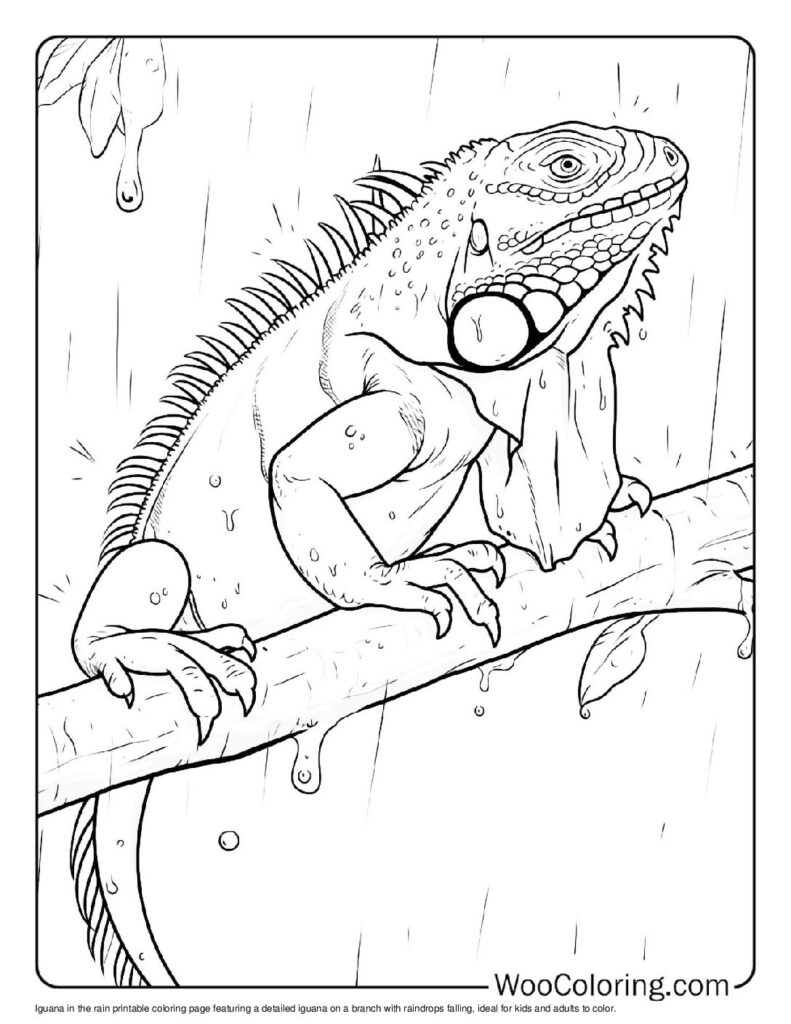 100 Iguana coloring pages Free PDF To Print - 23