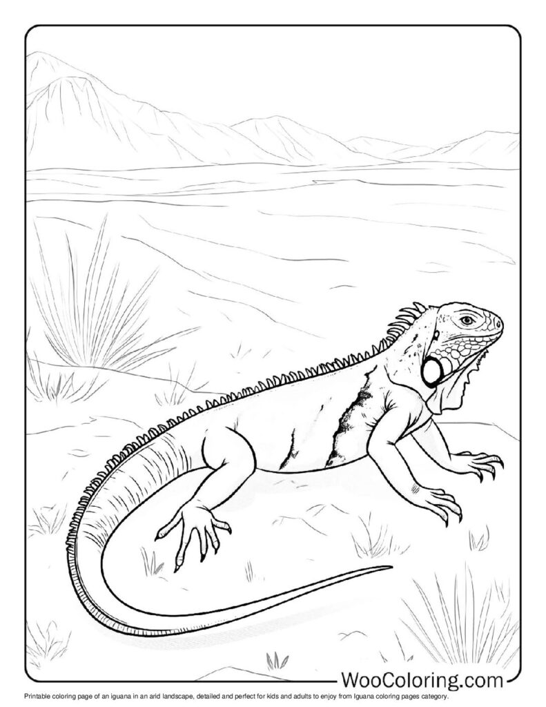 100 Iguana coloring pages Free PDF To Print - 97