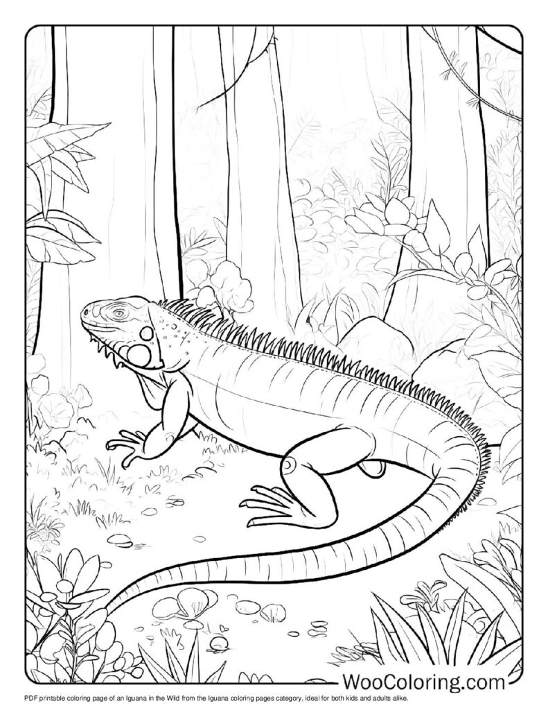 100 Iguana coloring pages Free PDF To Print - 71