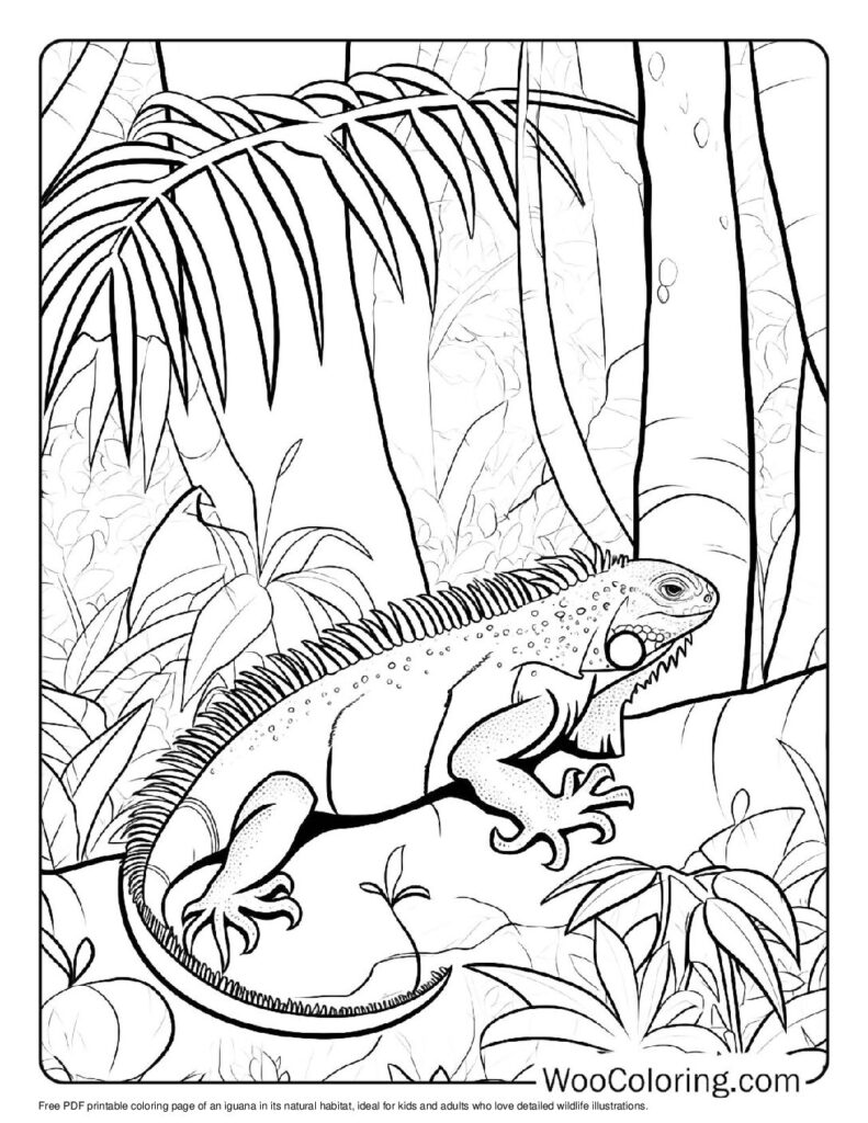 100 Iguana coloring pages Free PDF To Print - 73