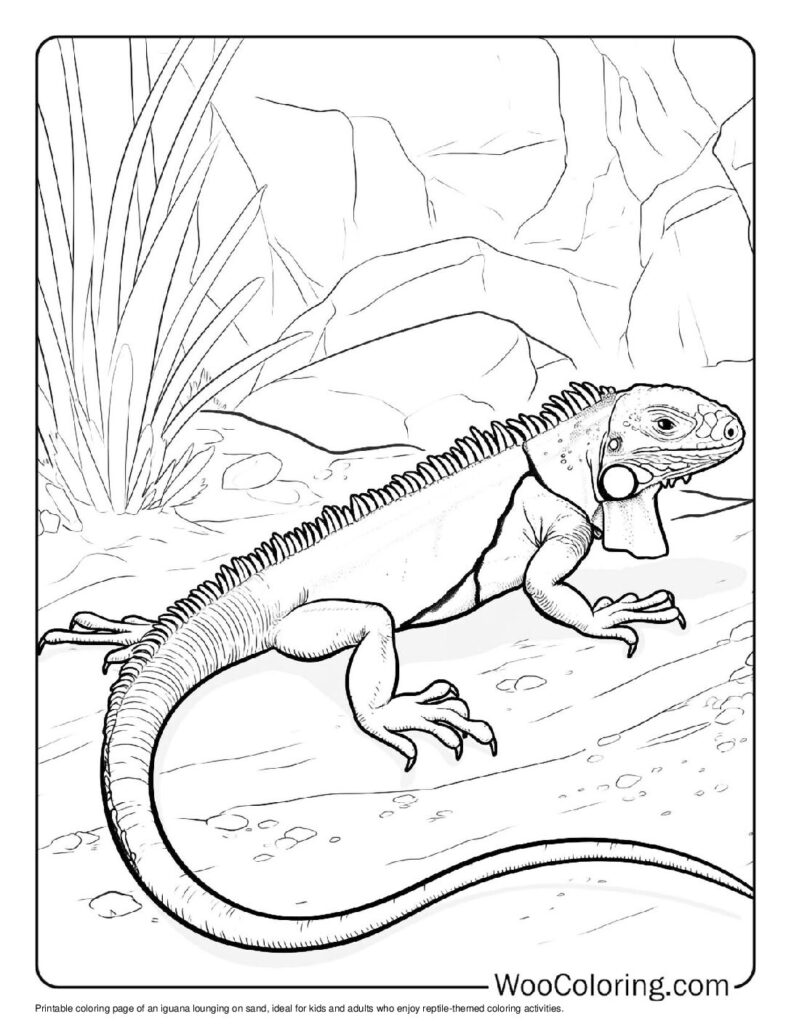 100 Iguana coloring pages Free PDF To Print - 13