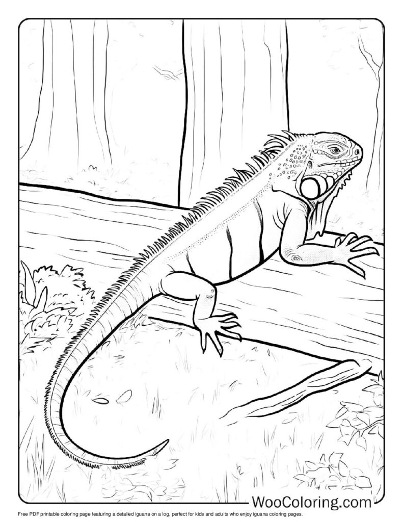 100 Iguana coloring pages Free PDF To Print - 84