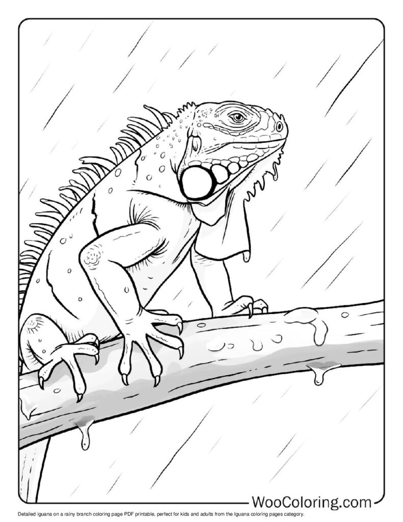 100 Iguana coloring pages Free PDF To Print - 63
