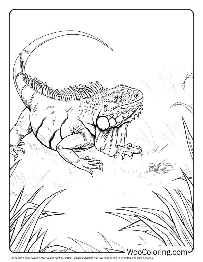 100 Iguana coloring pages Free PDF To Print - 52